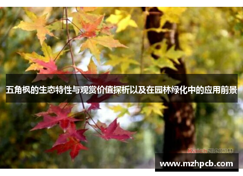 五角枫的生态特性与观赏价值探析以及在园林绿化中的应用前景