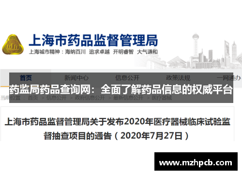 药监局药品查询网:全面了解药品信息的权威平台