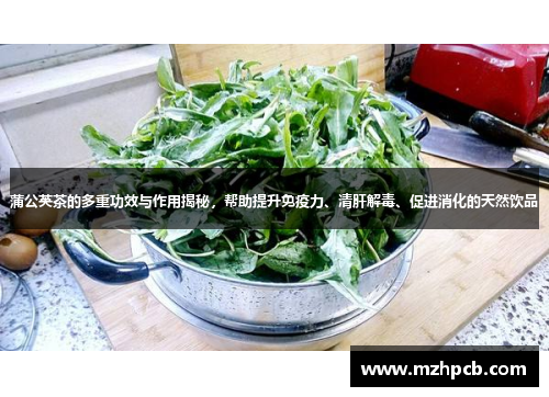 蒲公英茶的多重功效与作用揭秘,帮助提升免疫力、清肝解毒、促进消化的天然饮品